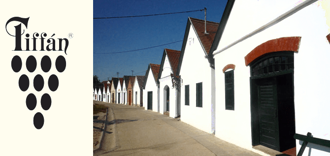 Tiffán Imre és Fia Kft. - Villánykövesd pincesor