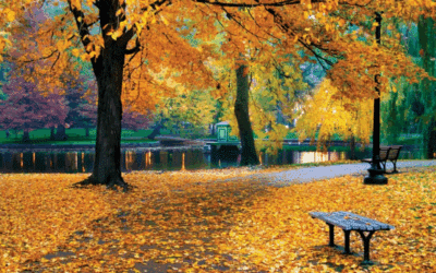 Ősz – Ambassador Club Budapest